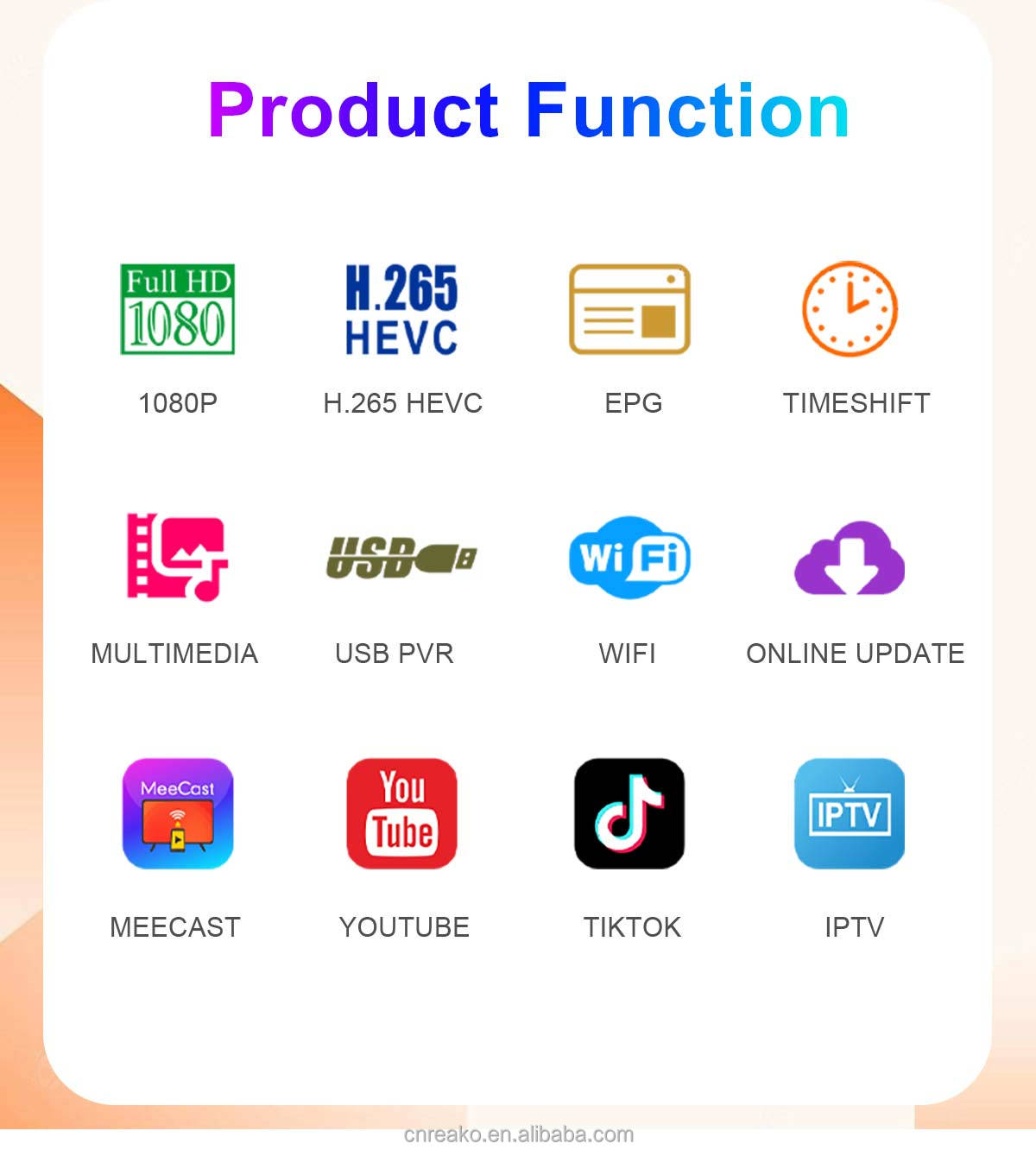 HEVC European DVB-T2 Receiver manufacture